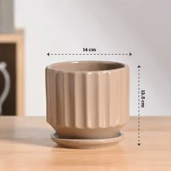 Frosted Ceramic Pot