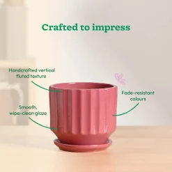 Frosted Ceramic Pot