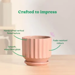Frosted Ceramic Pot