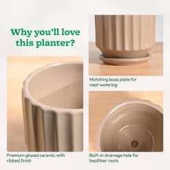 Frosted Ceramic Pot