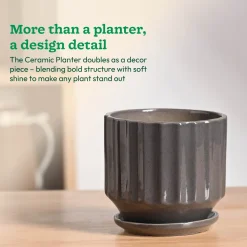 Frosted Ceramic Pot