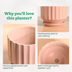 Frosted Ceramic Pot