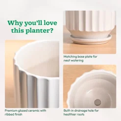 Frosted Ceramic Pot