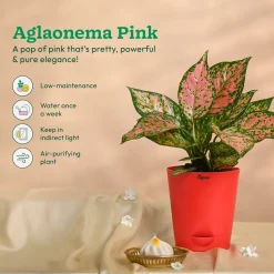 Ganapati Decor - Bundle of Plants
