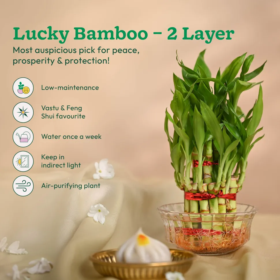 Ganapati Decor - Set of Plants