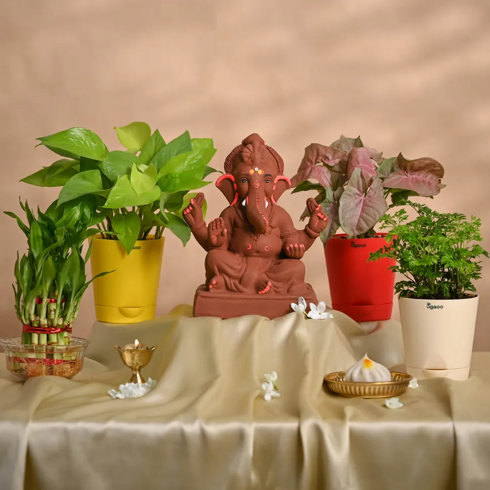 Ganapati Decor - Set of Plants