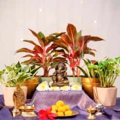 Ganpati Decor Festive Bundle