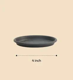 Gardening Plates - Black