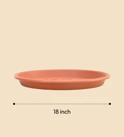 Gardening Plates - Terracotta Color