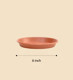 Gardening Plates - Terracotta Color