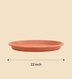 Gardening Plates - Terracotta Color