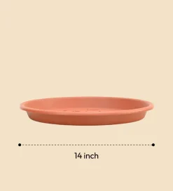 Gardening Plates - Terracotta Color