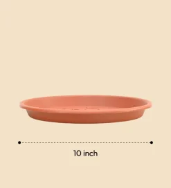 Gardening Plates - Terracotta Color