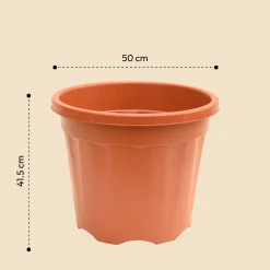 Gardening Pots - Terracotta Color
