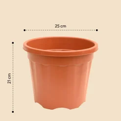 Gardening Pots - Terracotta Color