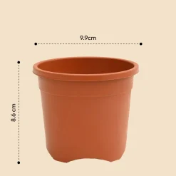 Gardening Pots - Terracotta Color