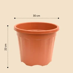 Gardening Pots - Terracotta Color