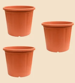 Gardening Pots - Terracotta Color