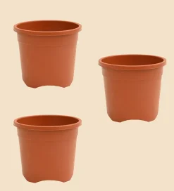 Gardening Pots - Terracotta Color