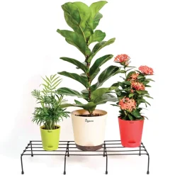 Garden Plants Stand ( Set of 4 )