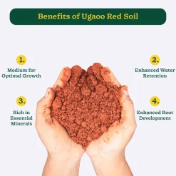 Garden Red Soil