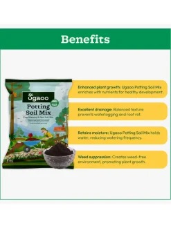 Garden Soil Mix