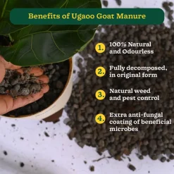 Goat Manure 1 Kg