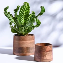 Gradient Wooden Planter - Set of 2