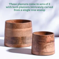 Gradient Wooden Planter - Set of 2