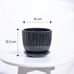 Grail Ceramic Pot