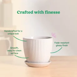 Grail Ceramic Pot