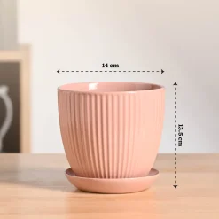 Grail Ceramic Pot