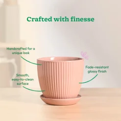 Grail Ceramic Pot