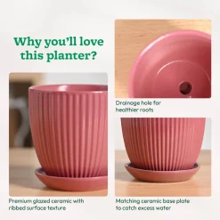 Grail Ceramic Pot