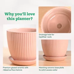 Grail Ceramic Pot
