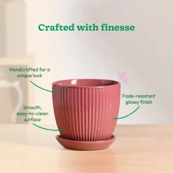 Grail Ceramic Pot