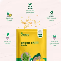 Green Chilli Seeds