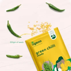 Green Chilli Seeds