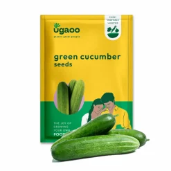 Green Cucumber Seeds (Long)