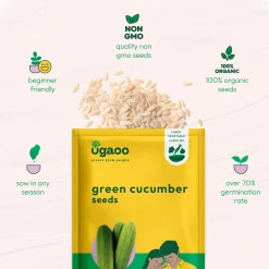 Green Cucumber Seeds (Long)