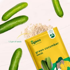 Green Cucumber Seeds (Long)