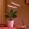 Grow Light for Indoor Plants