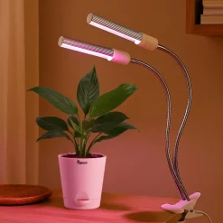 Grow Light for Indoor Plants