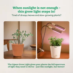 Grow Light for Indoor Plants