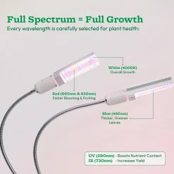 Grow Light for Indoor Plants