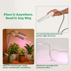 Grow Light for Indoor Plants