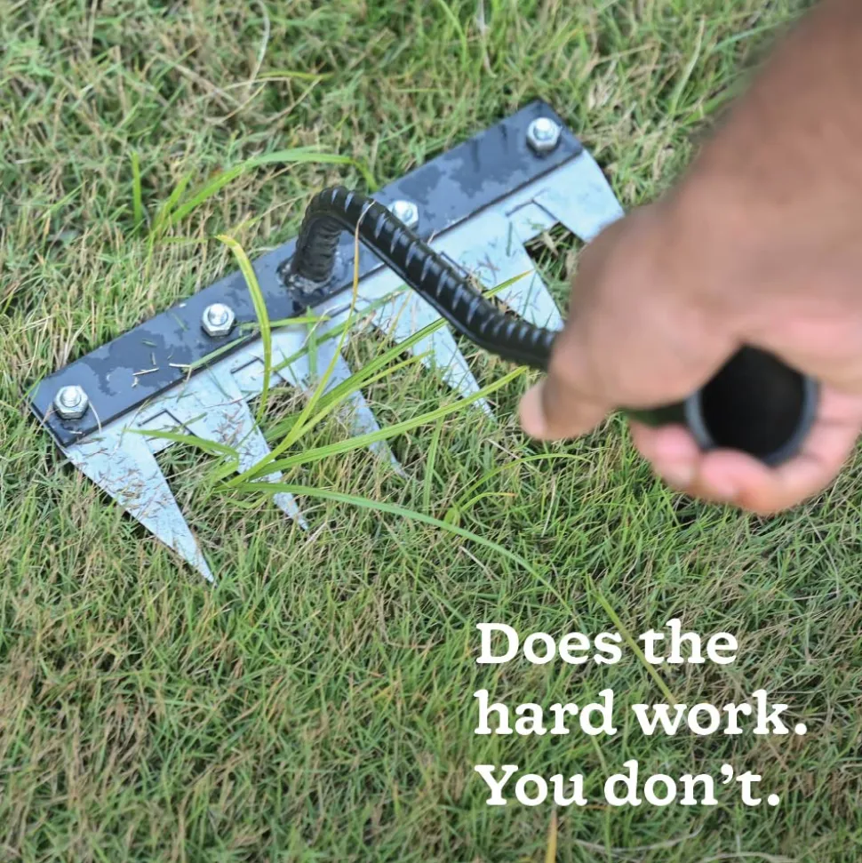 Hand Rake 6 Teeth