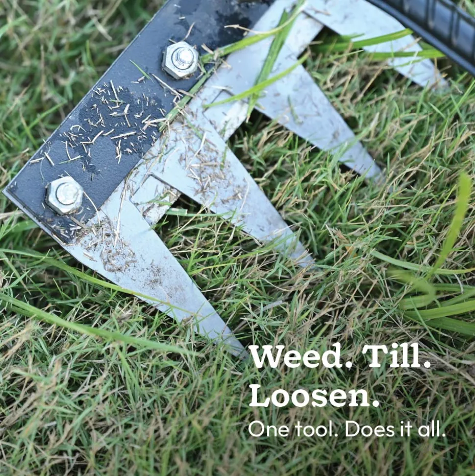 Hand Rake 6 Teeth