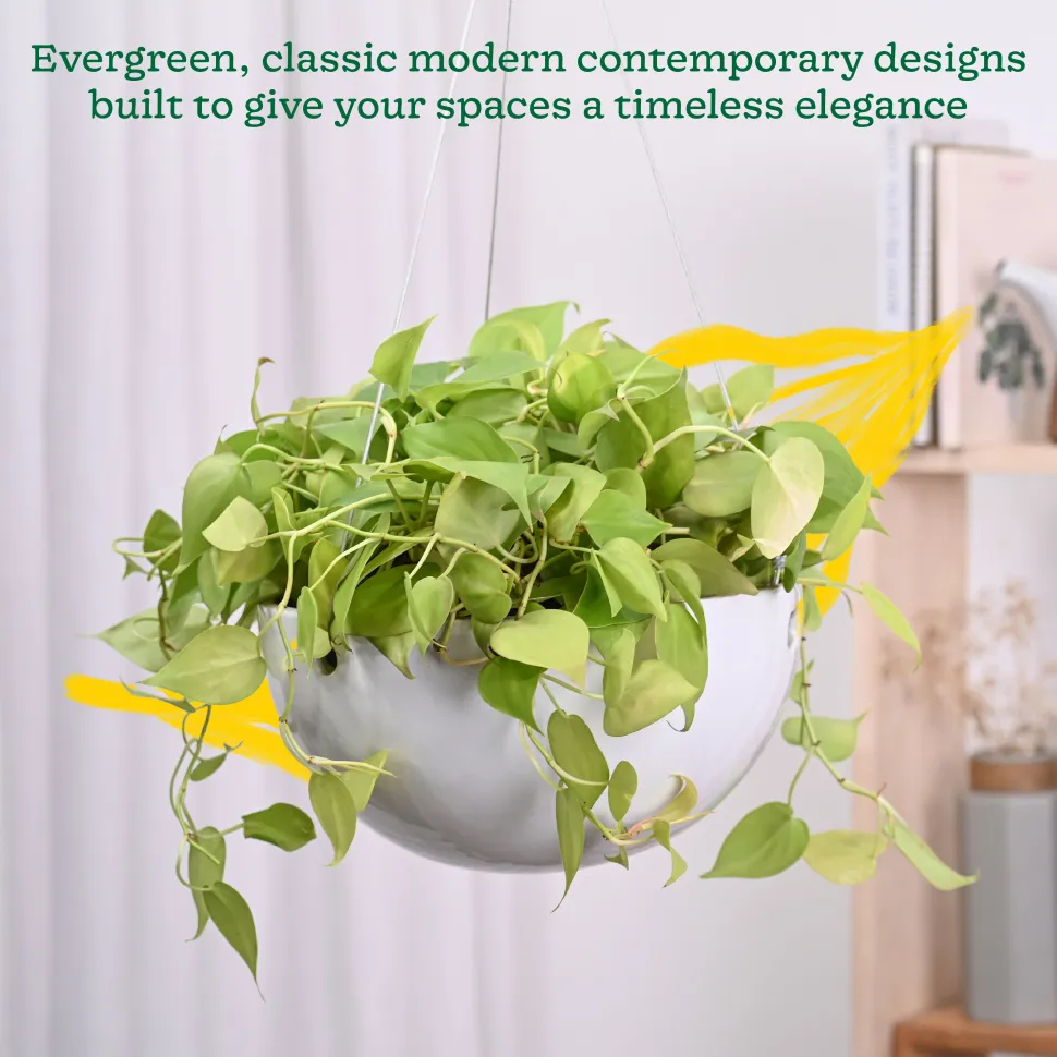 Hanging Ceramic Planters Petrichor Smite
