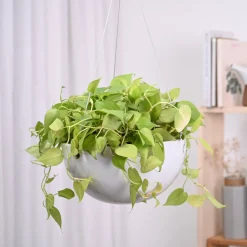 Hanging Ceramic Planters Petrichor Smite